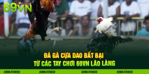 Đá Gà Cựa Dao Bất Bại Từ Các Tay Chơi 69VN Lão Làng
