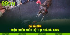 Đá Gà Đòn – Trận Chiến Khốc Liệt Tại Nhà Cái 69VN